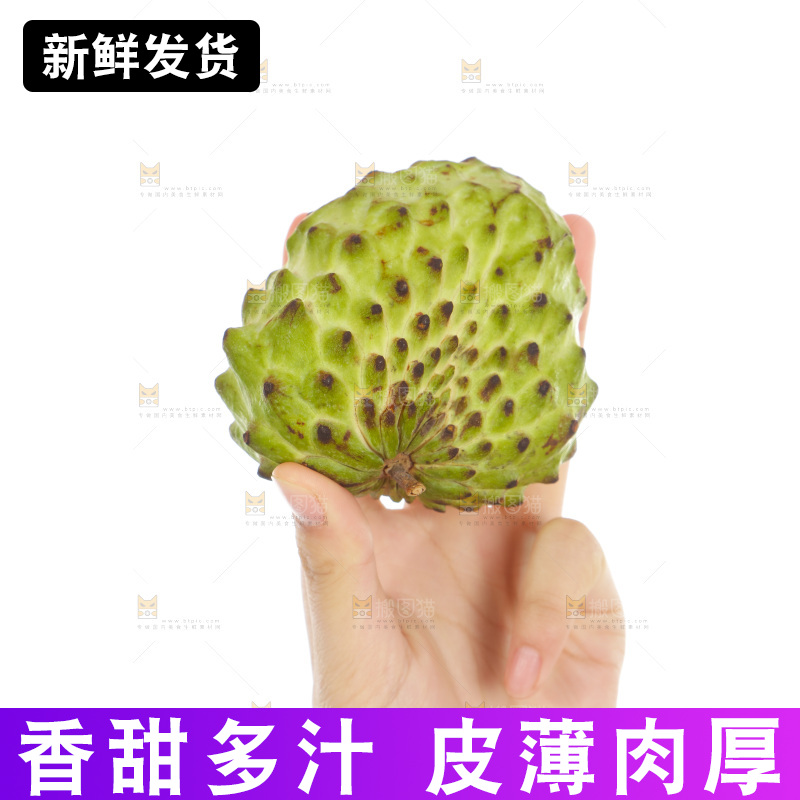 手里拿着释迦果