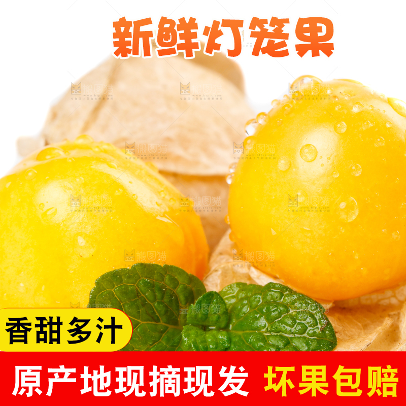 白底上摆放着姑娘果