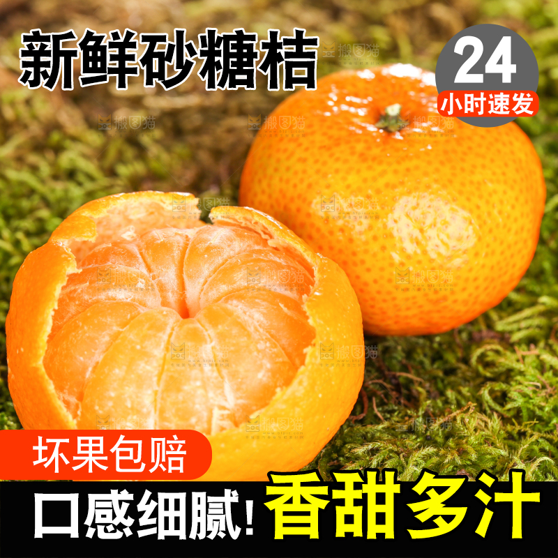 草地上的砂糖橘