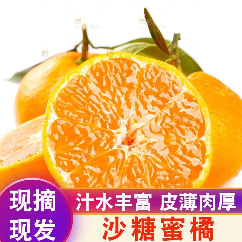 白底上摆放着蜜橘