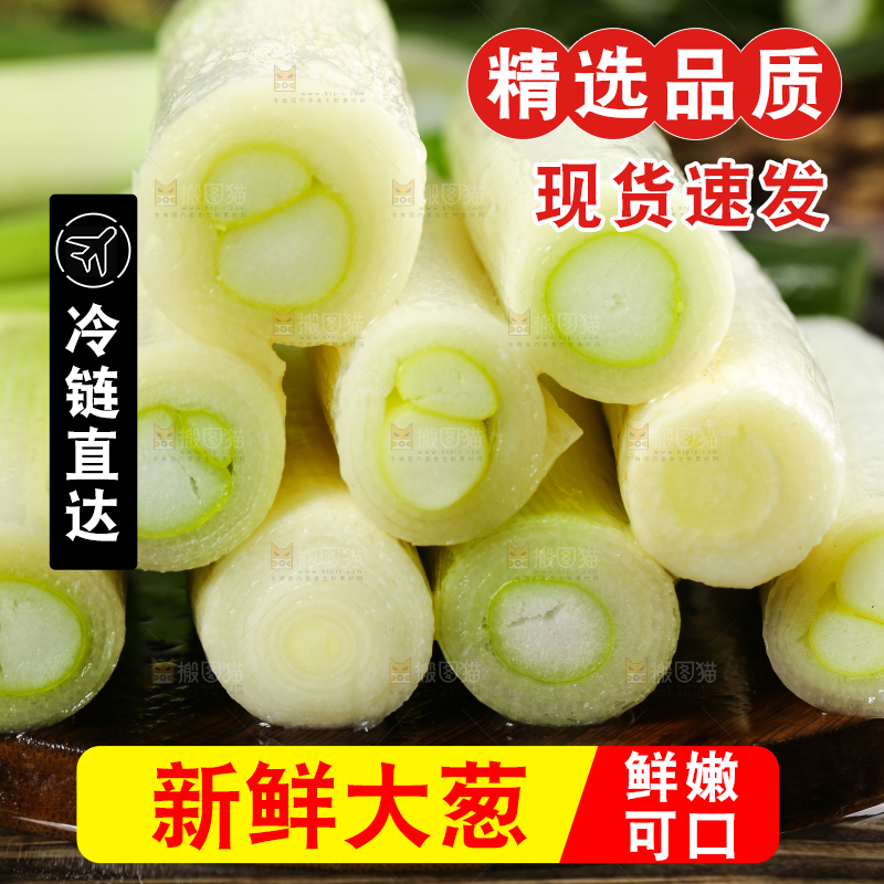 木底上的山东大葱