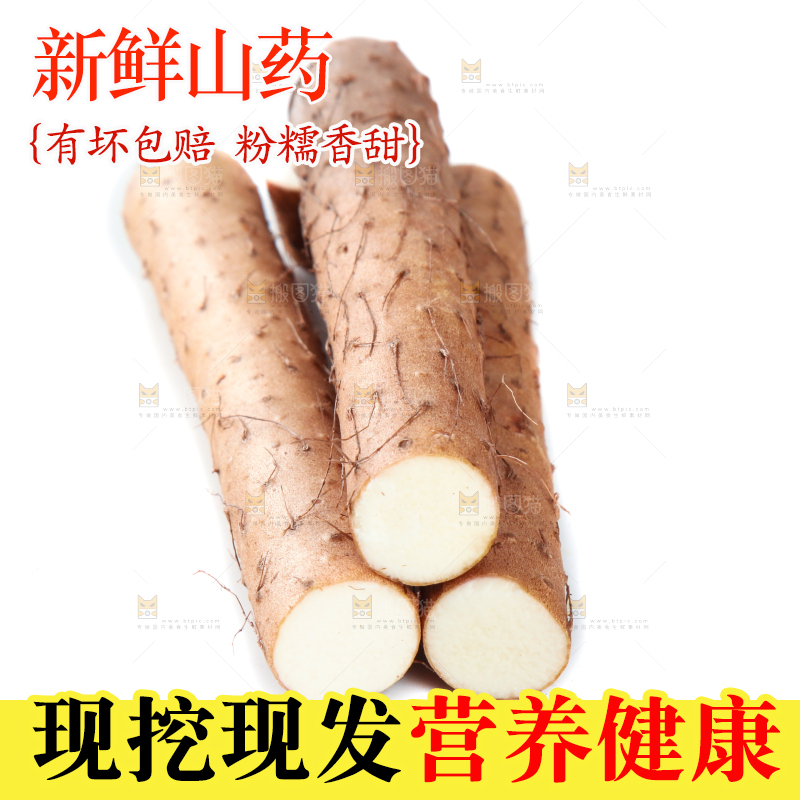 白底上摆放着山药