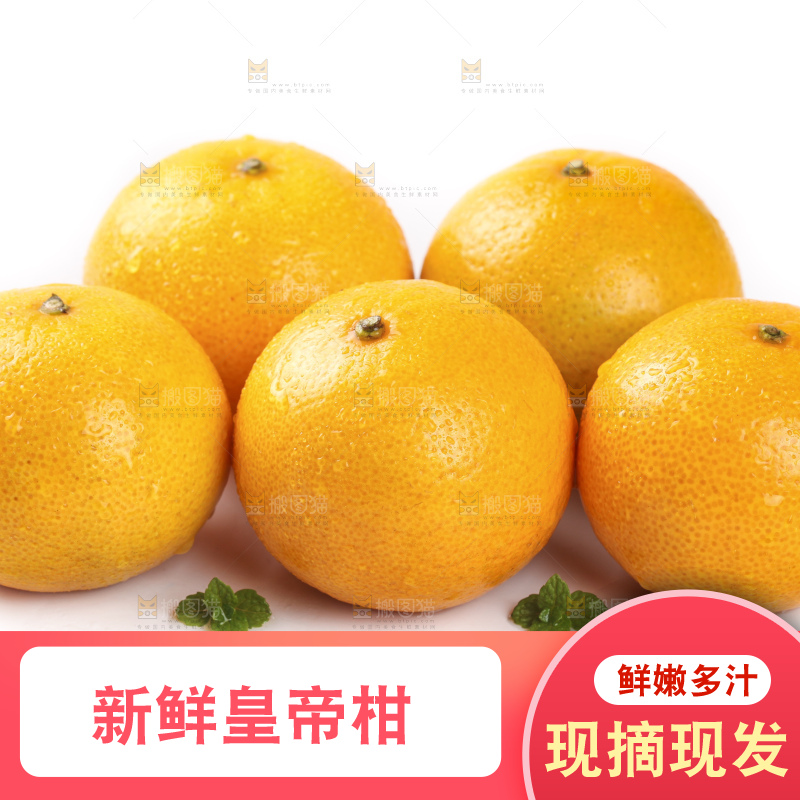 白底上的广西皇帝柑