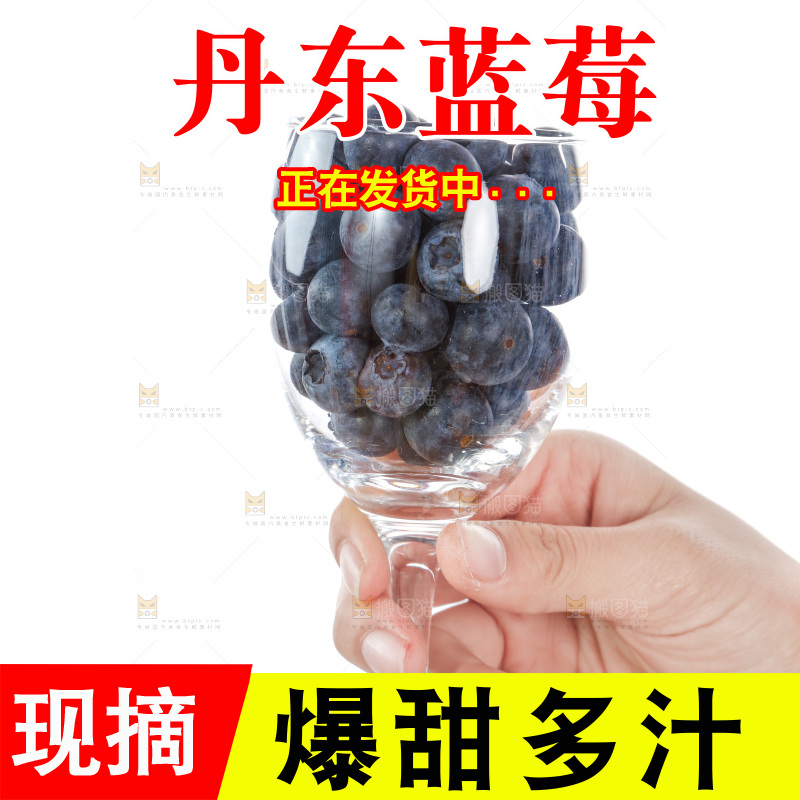 杯子里装着蓝莓