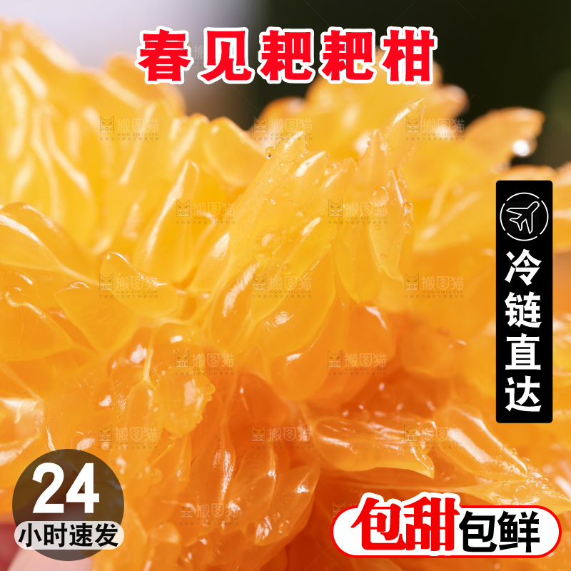 深底上放着四川春见