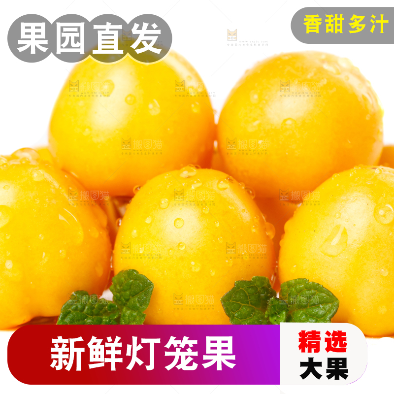 白底上摆放着姑娘果