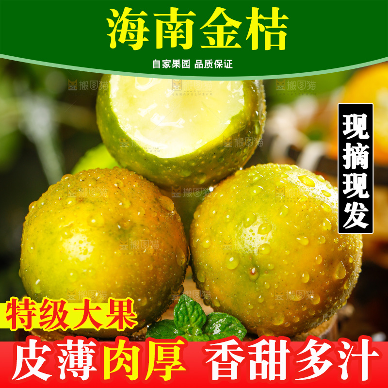 木底上放着金橘