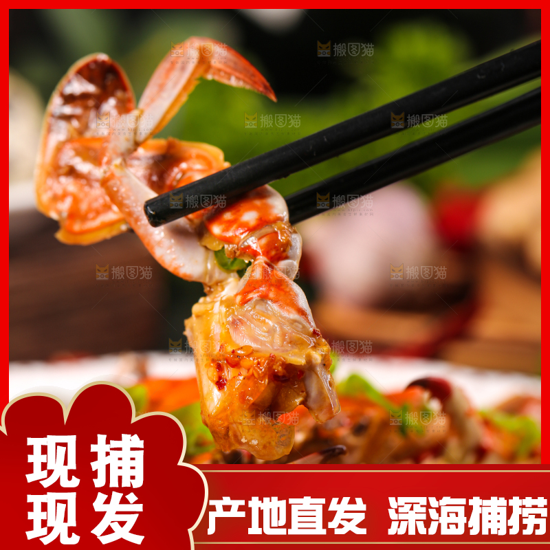 石板上放着一盘红烧梭子蟹