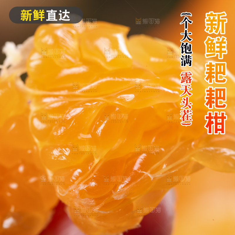 深底上放着四川春见