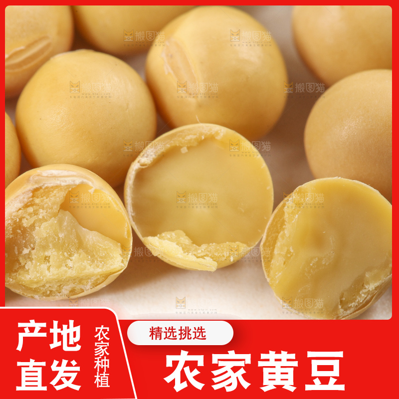 白底上的黄豆粒