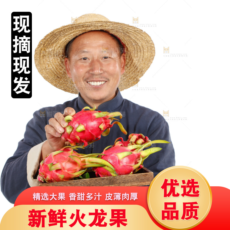 农民手里端着火龙果