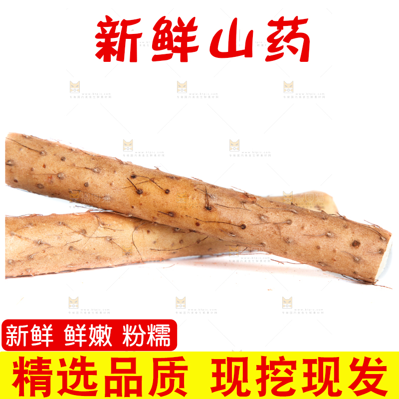 白底上摆放着山药