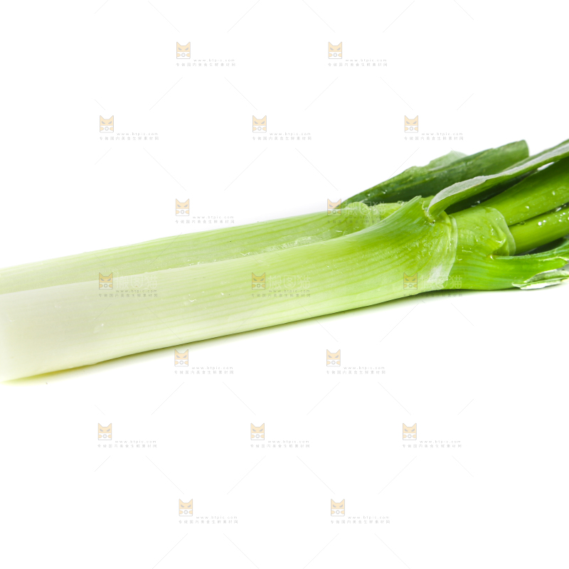 白底上的大葱