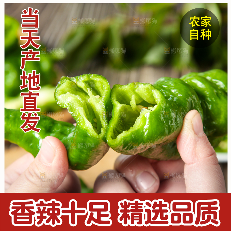 手拿螺丝椒