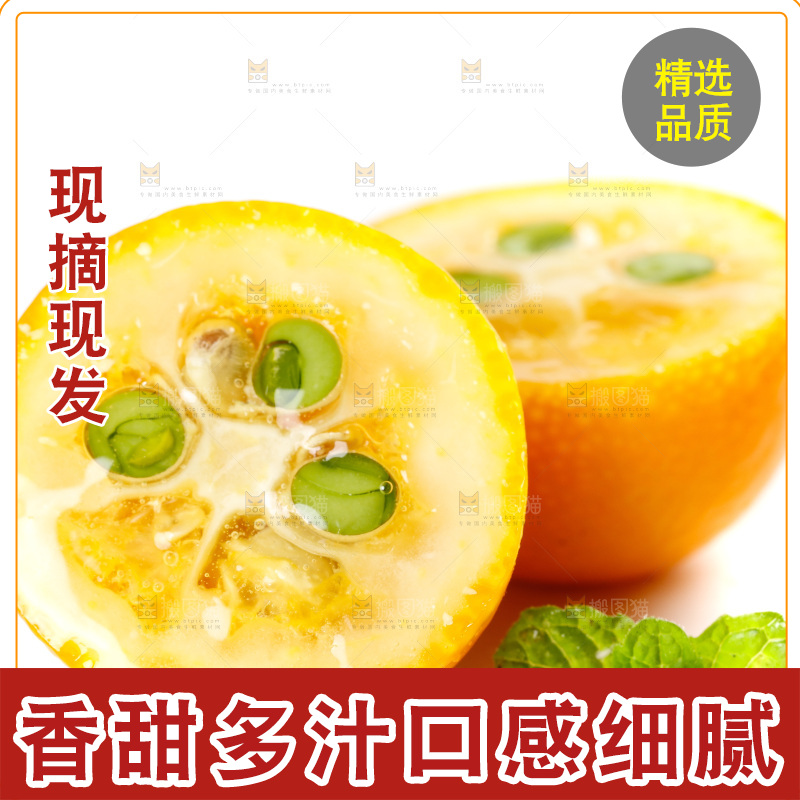 白底上放着小金桔