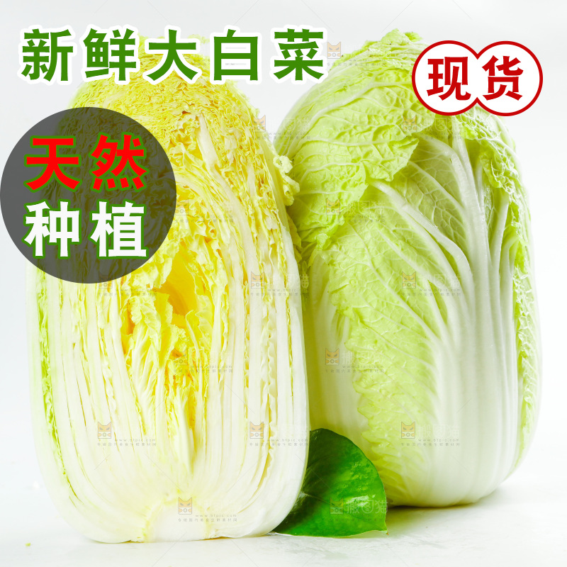切开的黄心大白菜放在白底上