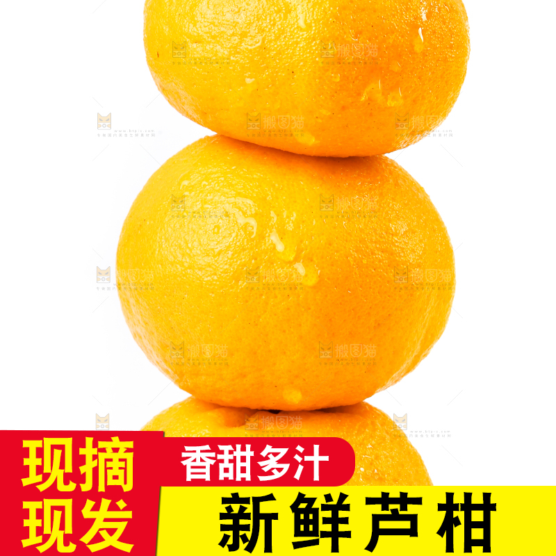 白底上放着芦柑