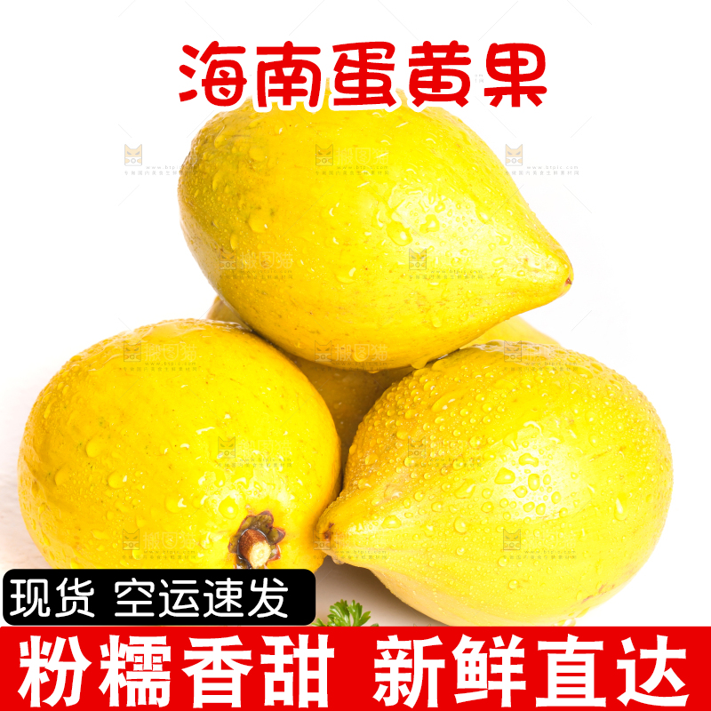 白底上的新鲜鸡蛋果