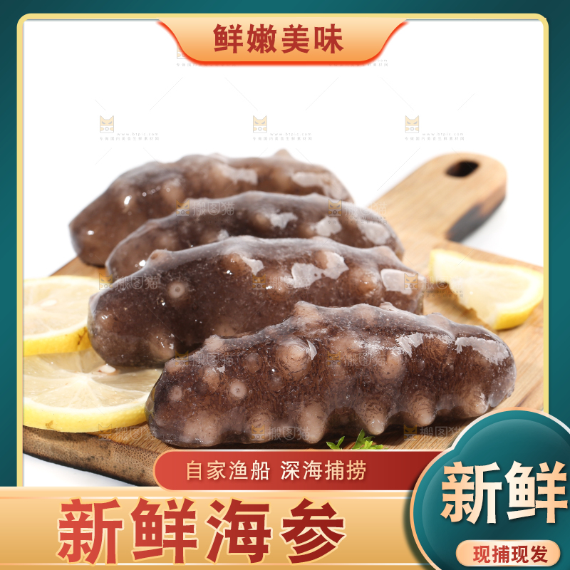 一盘刺参放在白底上