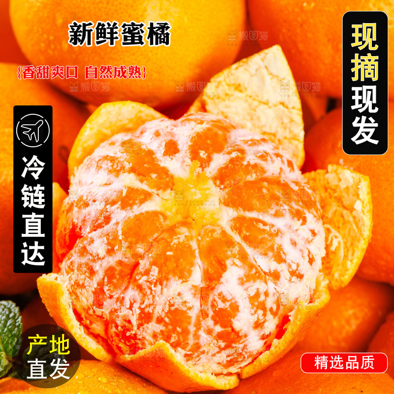 盘子里放着橘子