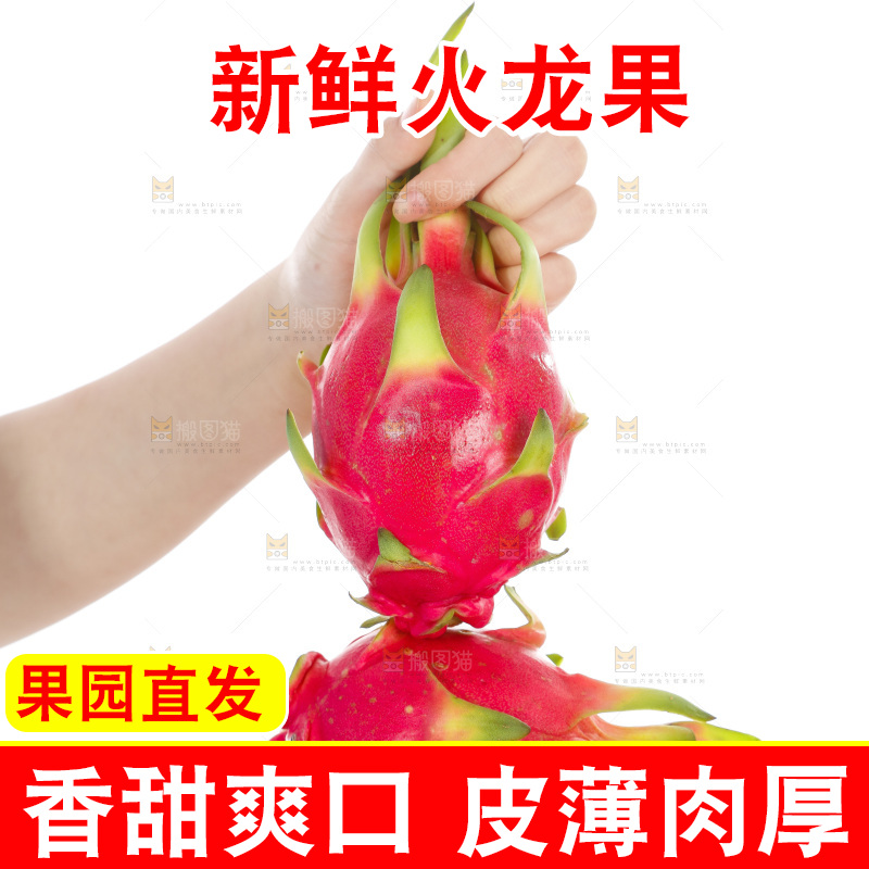 手里拿着火龙果