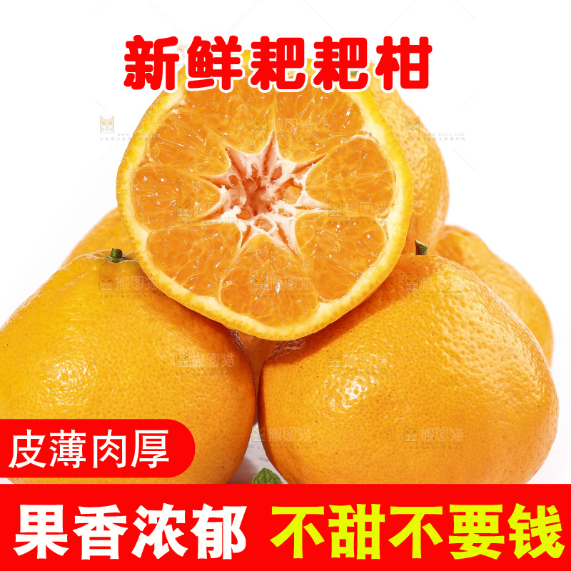 切开的四川耙耙柑放在白底上