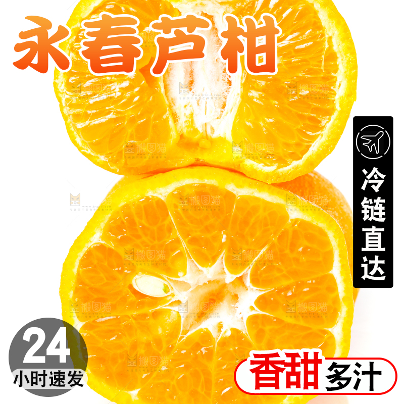 白底上放着芦柑