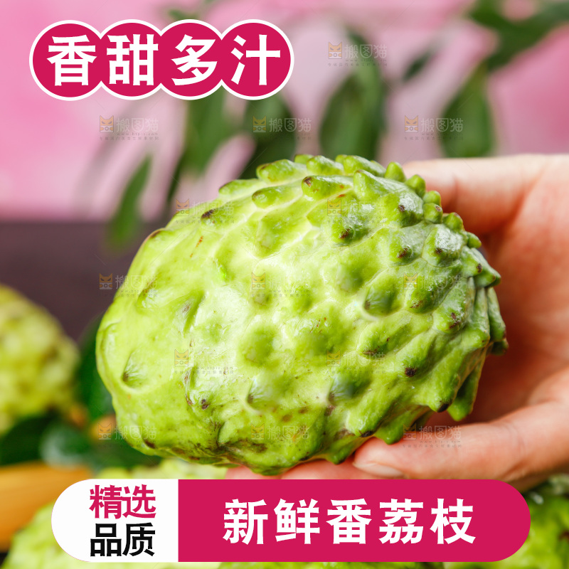 手里拿着牛奶释迦果