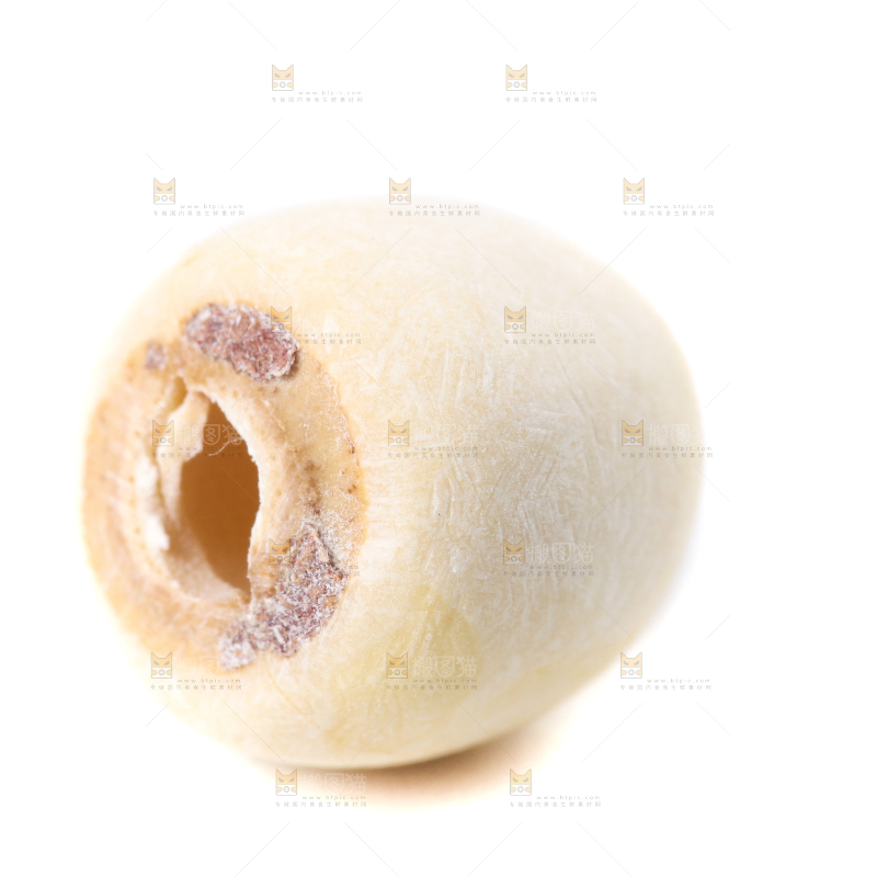 白底上的白莲子