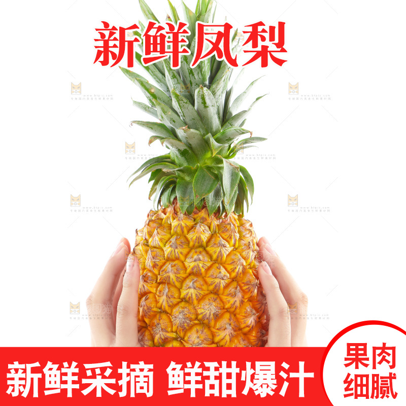 手里捧着凤梨