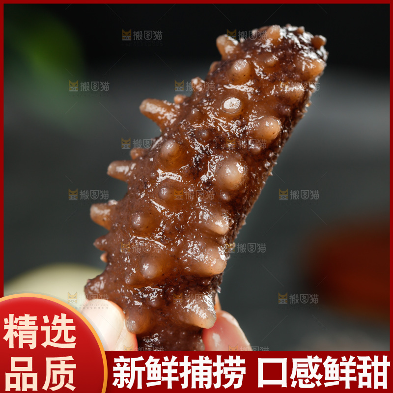 手拿刺参