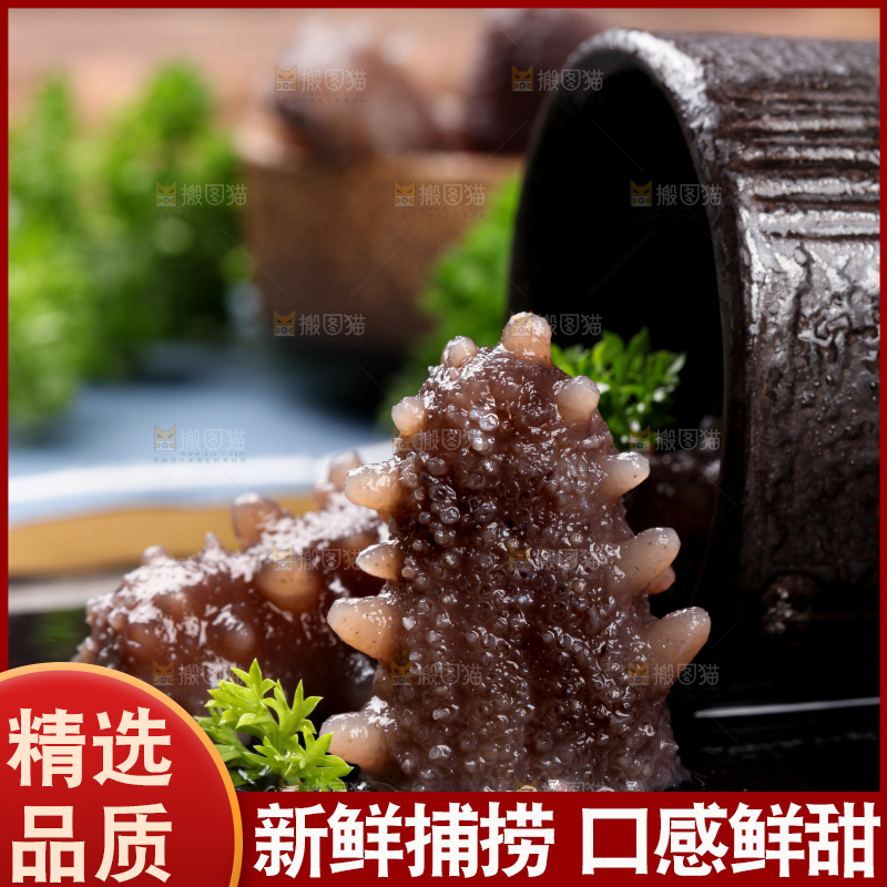 黑底上的海参