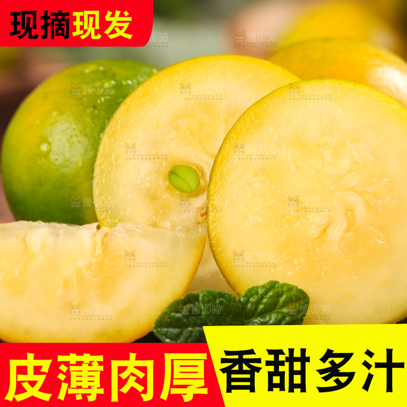 木底上摆放着金橘