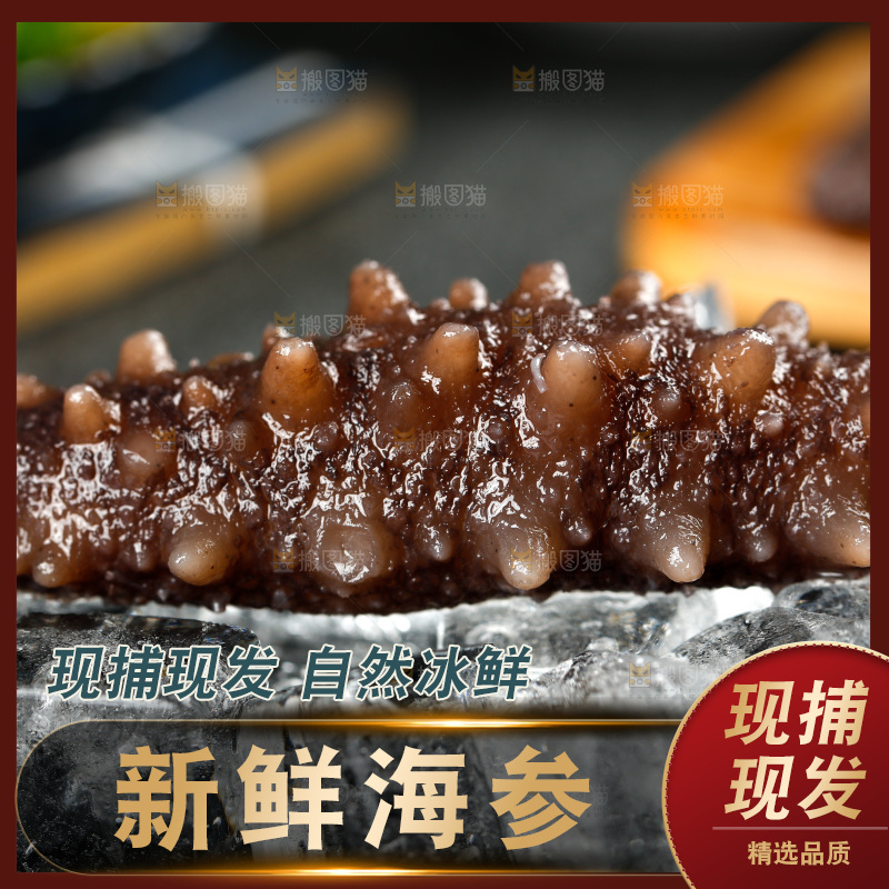 盘子里的冰镇海参