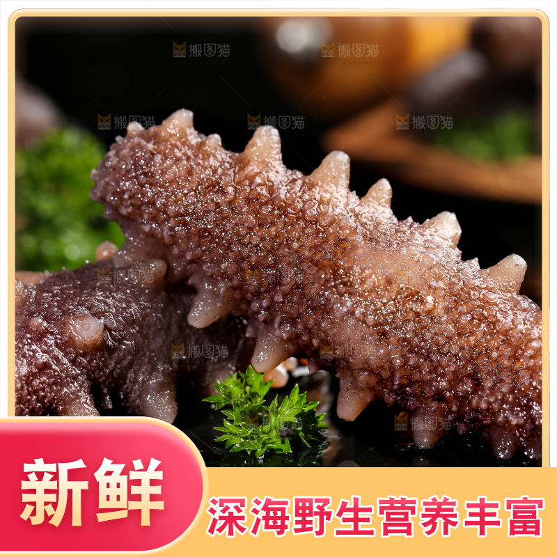 黑石板上的海参