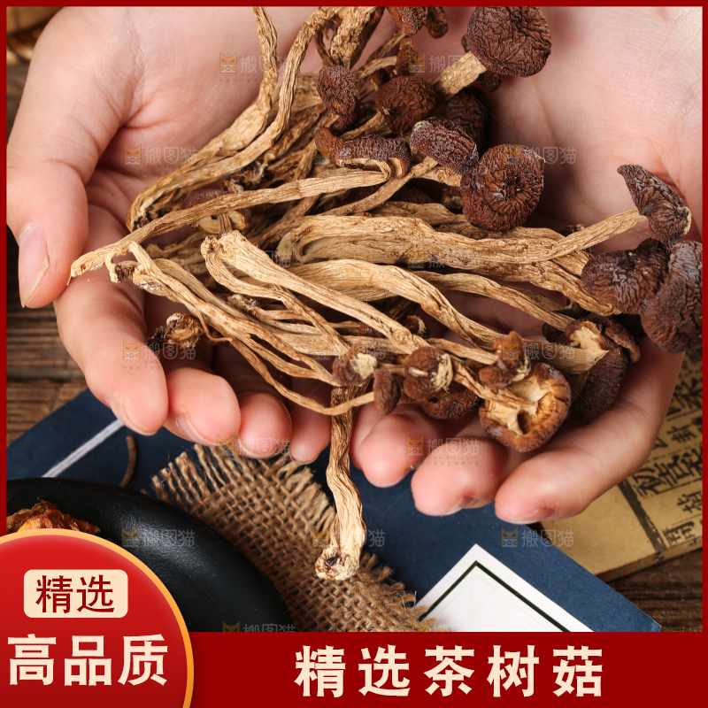 手里捧着茶树菇