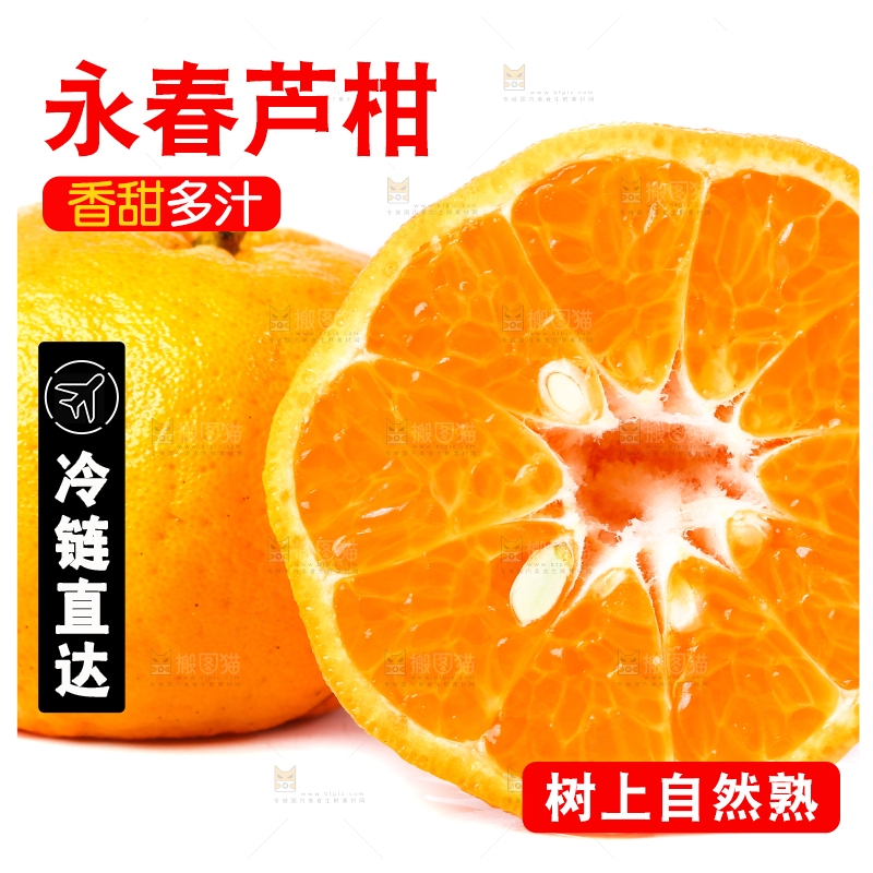 白底上放着芦柑