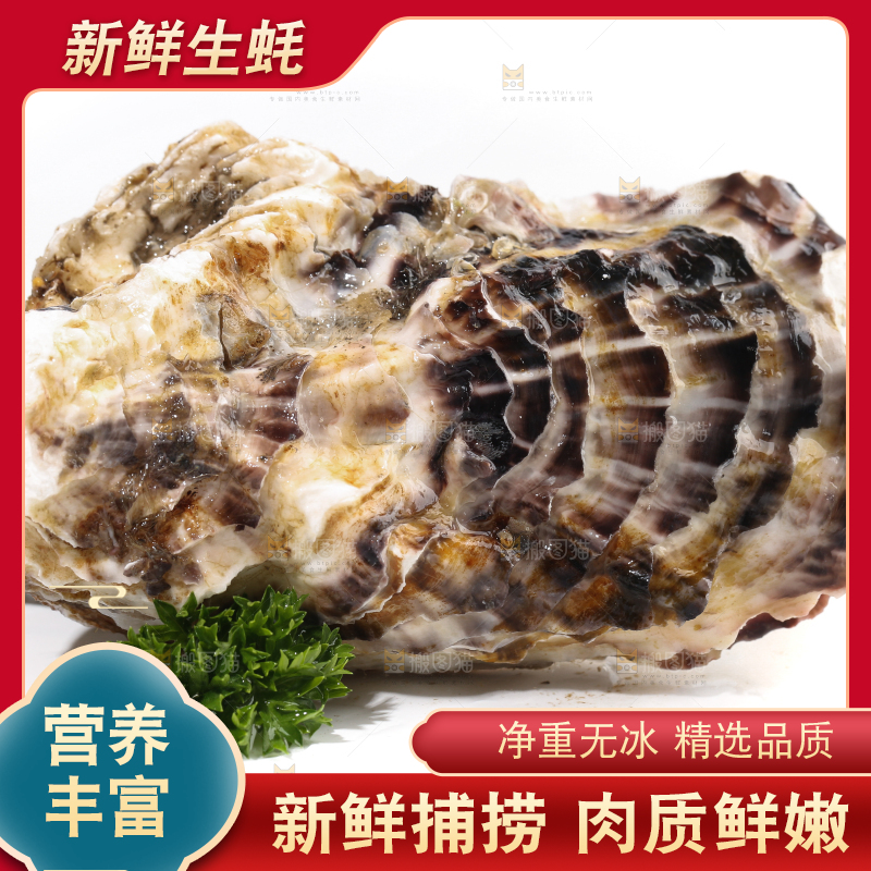 白底上的生蚝