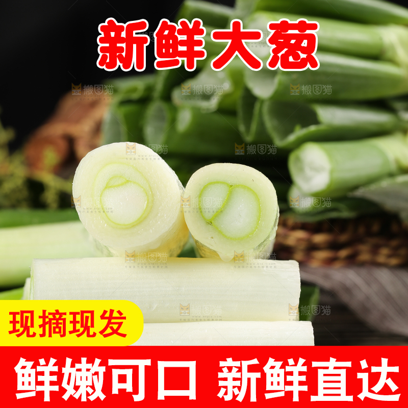 木底上的山东大葱