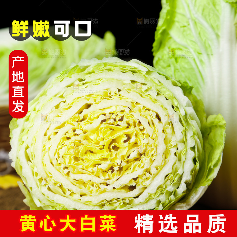 木底上放着切开的山东大白菜