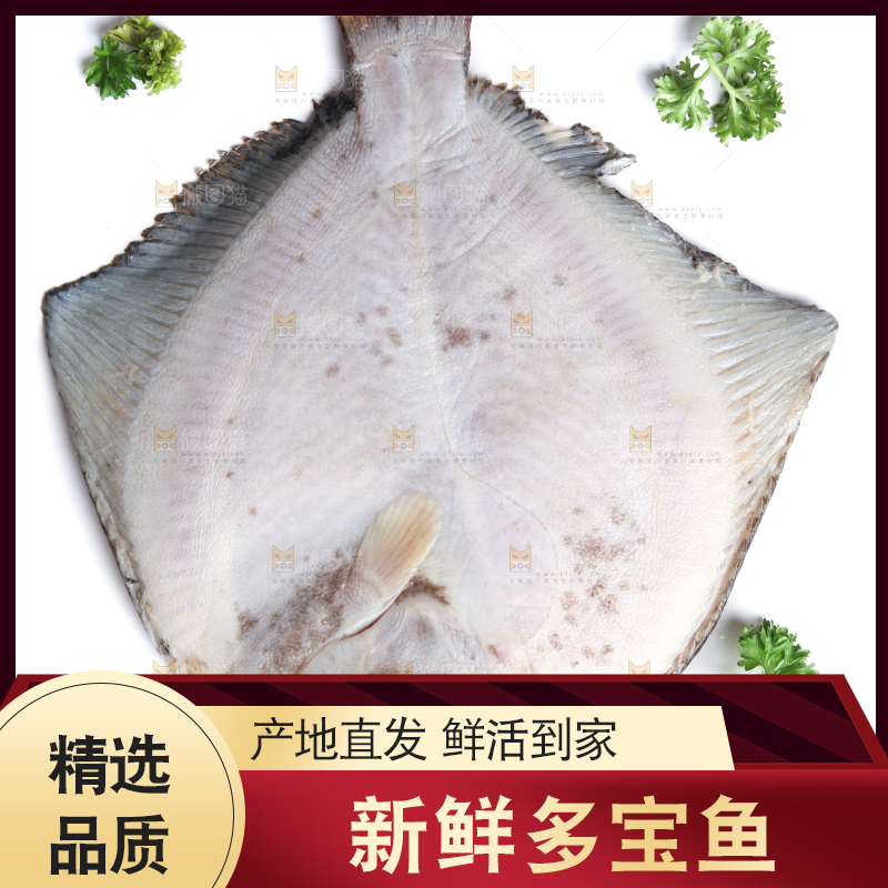 白底上的多宝鱼