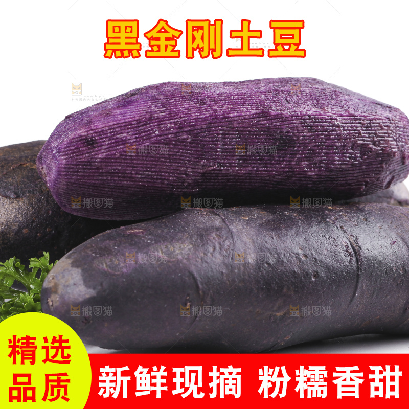 白底上的黑紫马铃薯