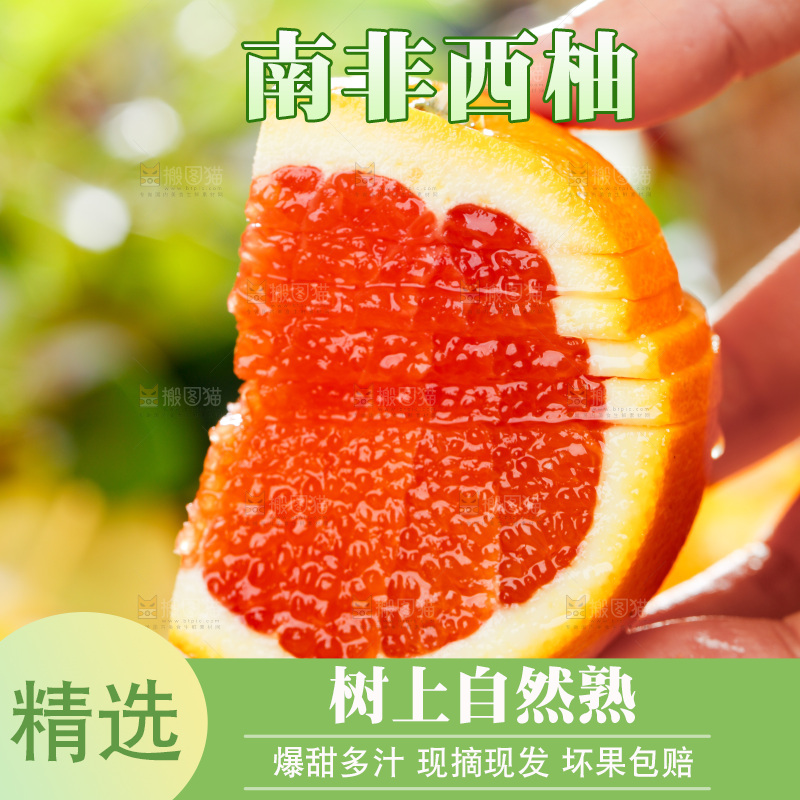 手拿切开的切开的南非红心西柚