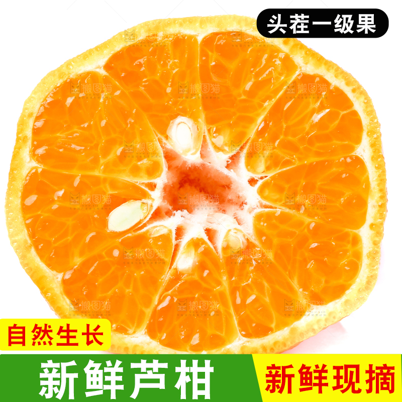 白底上放着芦柑