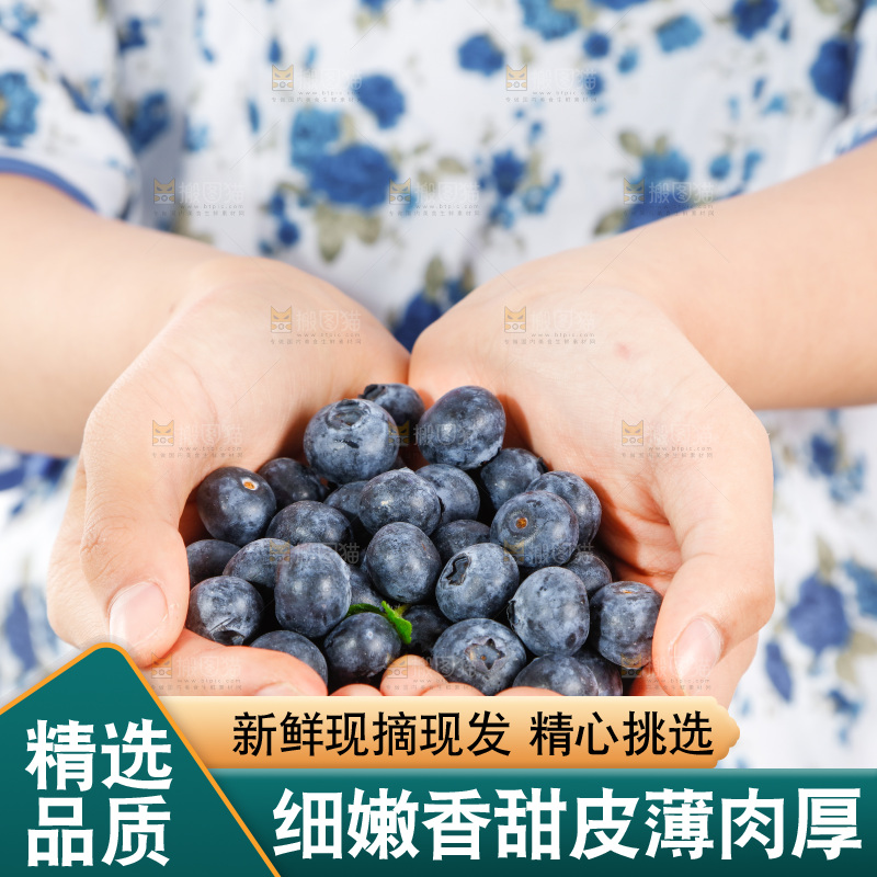 手里捧着蓝莓