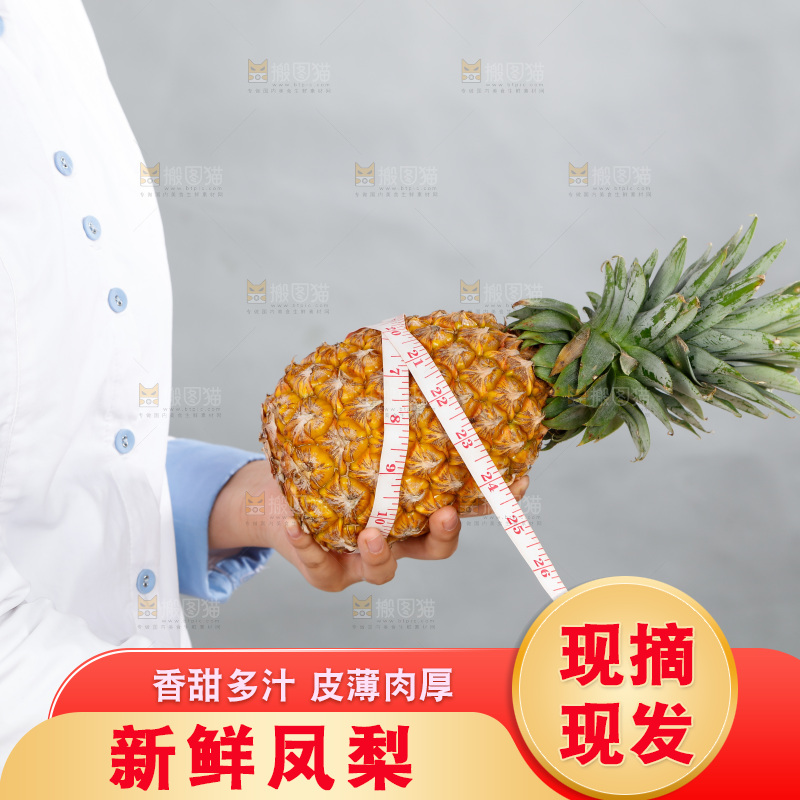 手里正在测量凤梨