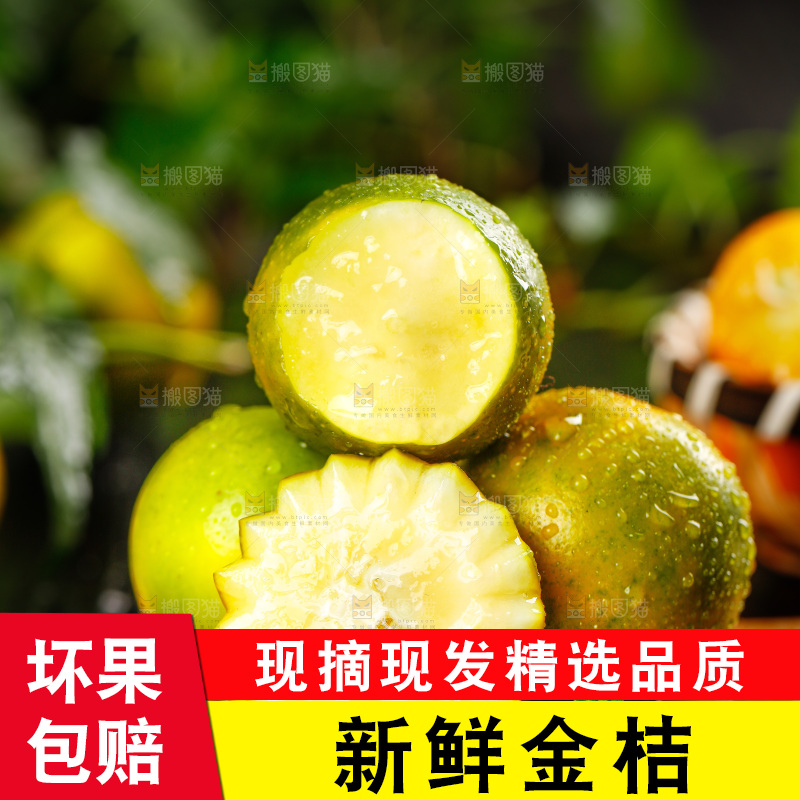 木底上放着金橘