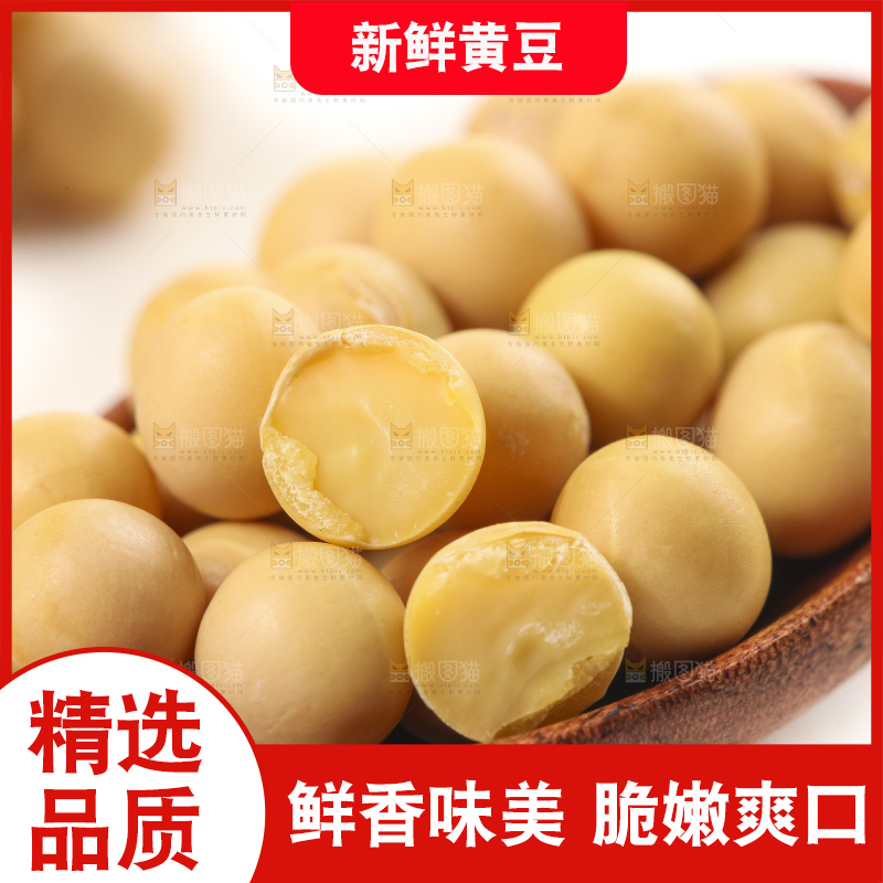 勺子里的黄大豆