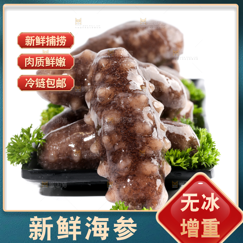 一盘刺参放在白底上