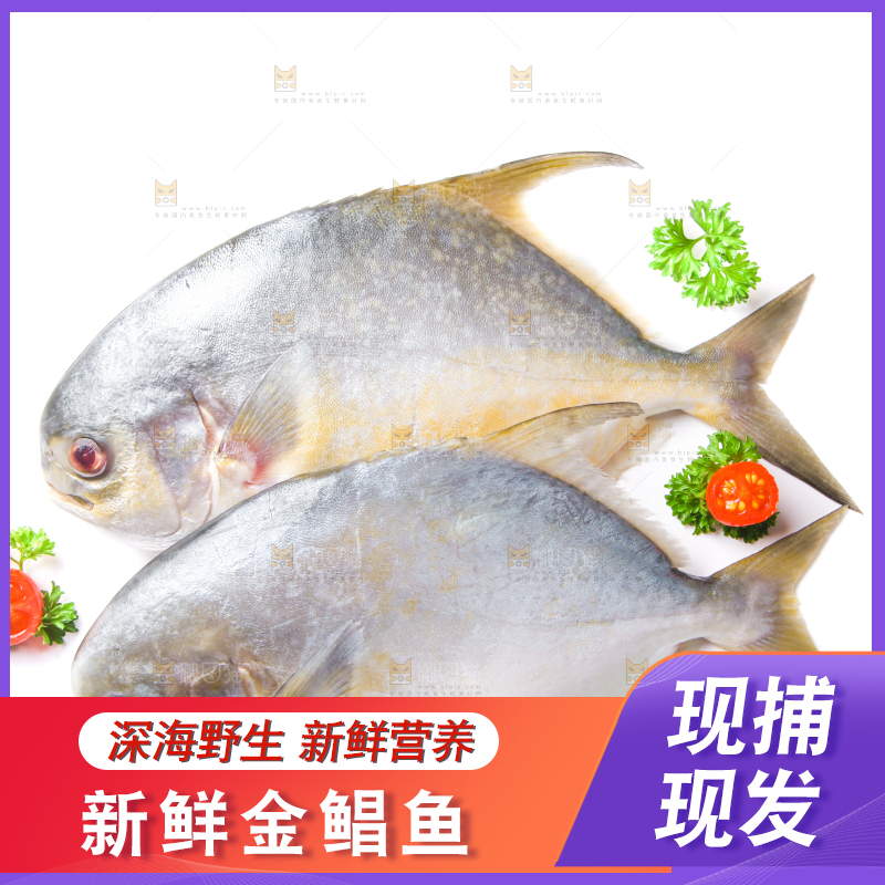 白底上放着野生金鲳鱼
